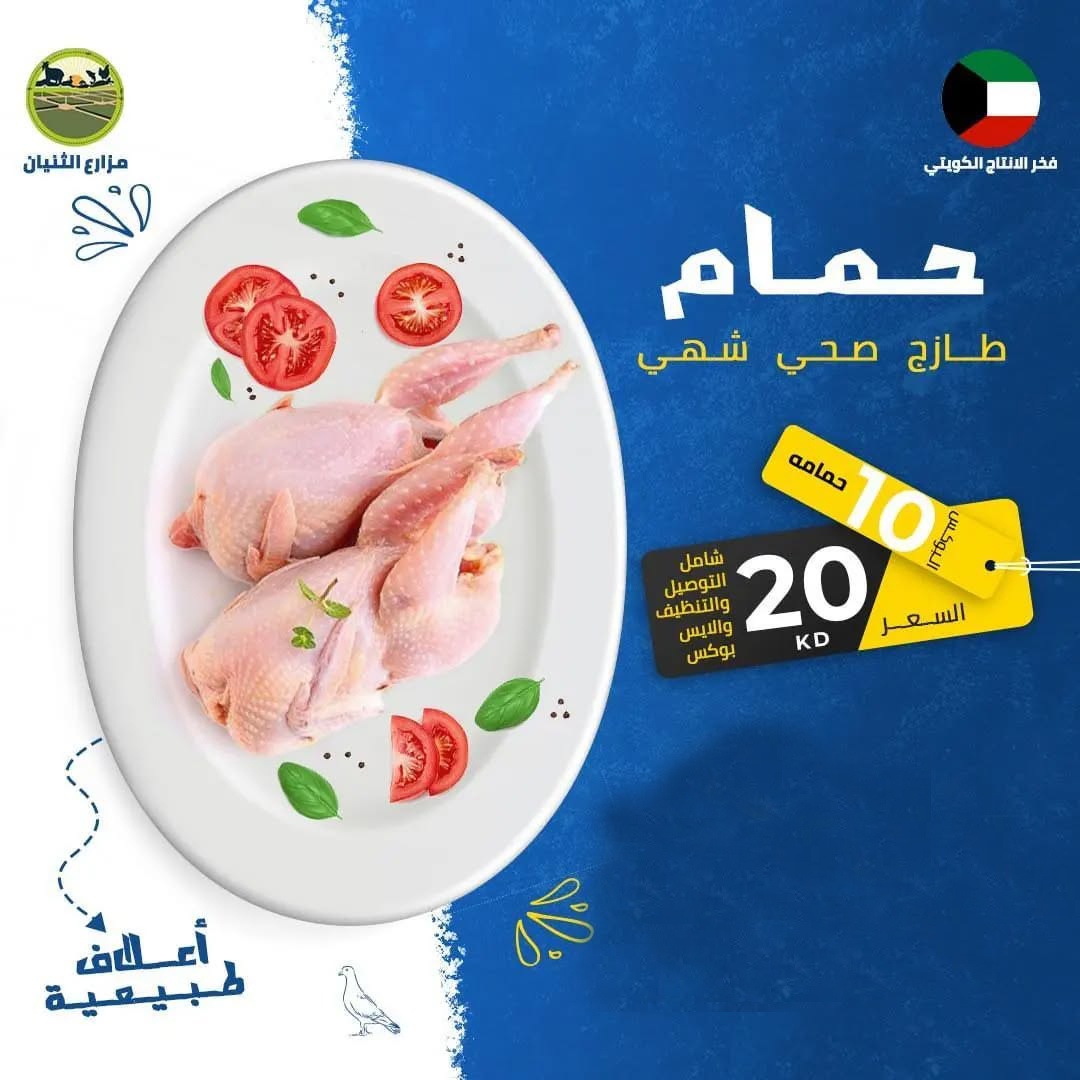 بوكس 10 حمامات