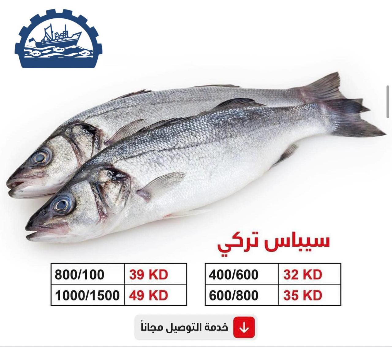 كرتون سيباس تركي