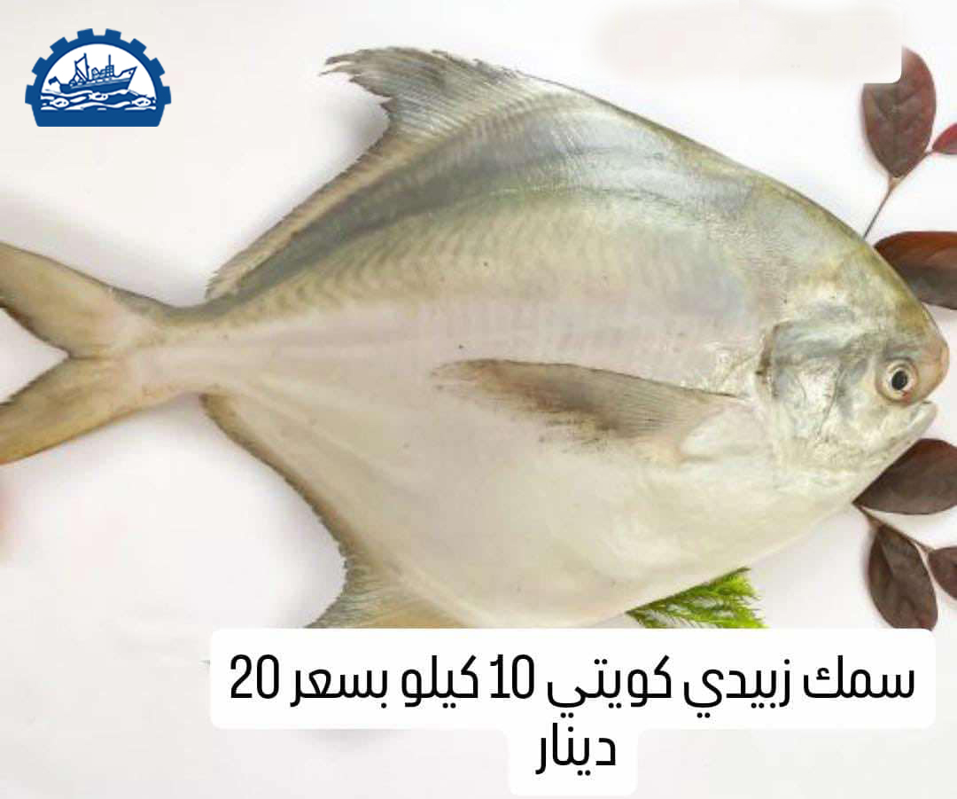 كرتون زبيدي كويتي